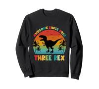 Dinosaure Amusant à Trois Rex pour Enfants de 13 Ans, génial Depuis 2013 Sweatshirt