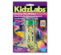 Dinosaure fossile magique ? Une découverte éducative et brillante multicolor TU