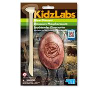 Dinosaure phosphorescent à déterrer ? Deviens paléontologue ! multicolor TU