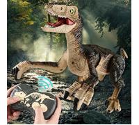 Dinosaure Télécommandé - SHOP-STORY - Vélociraptor - 50 cm - Lumières - Sons