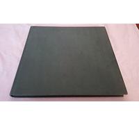 Dinotopia: A Land Apart from Time