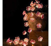 DINOWIN Guirlande Lumineuse LED Fleurs de Cerisier Rose 30 LED Guirlande Lumineuse Rose de Noël à Piles Décoration Pour mariage, fête d'anniversaire
