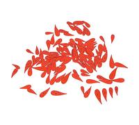 Dioche Carrot Buttons Lot de 100 Boutons de Carotte Orange - Jolis Boutons en Bois DIY en 4 Tailles pour l'artisanat et la Couture, Parfaits pour les Projets de Noël avec 2 Trous (Courbé)