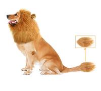 Dioche Costume de Crinière de Chien, Perruque de Crinière Réaliste et Amusante avec Bandes élastiques Réglables, Oreilles et Queue pour Chiens de Grande et Moyenne Taille, Halloween,