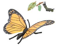 Dioche Jouet Modèle Animal Papillon - Simulation du Cycle de Croissance