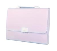 Dioche Organiseur de Dossiers Accordian - Mallette Extensible à 13 Poches avec Poignée, Couverture étanche, Comprend 12 étiquettes pour la Maison, le Bureau, l'école - Violet Clair (PURPLE)