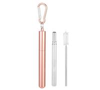 Dioche Paille de Cocaïne Paille Télescopique Portative en Acier Inoxydable - à Boire Réutilisable avec Brosse de Nettoyage pour café, thé au Lait, Smoothies - et Portable (Rose)