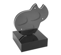 Dioche Porte-Crochets de Guitare en Acrylique, Présentoir Magnétique, Mallette de Rangement Durable avec 3 Fentes pour Guitaristes Amateurs de Musique, Noir 8x8cm