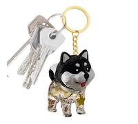 Dioeazh Porte-Clés Poils d'animaux | Pendentif Rangement Transparent Commémoratif | Porte-Clés Souvenir Collecteur de Poils | pour Pochette Sac À Main Tote Sac À Dos Voyage Et Vacances Déplacements