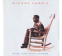 Dionne Farris - incl. the wonderful Passion (CD Album Farris, Dionne, 15 Tracks)