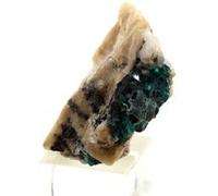 DIOPTASE - Pierre Naturelle en Provenance du Kazakhstan, Altyn-Tyube - Cristal Vert Émeraude, Rare et Précieux 12.33 ct - Certificat d'Authenticité Inclus 18 x 9 x 10 mm Vert G