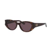 DIOR Femme Sunglass Diorglow B1I - Couleur du Monture: Brun, Couleur de Lentille: Brun