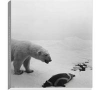 Dioramas Hiroshi Sugimoto (Auteur)