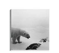 Dioramas - Hiroshi Sugimoto - Xavier Barral Eds - relié - Beau livre