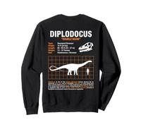 Diplodocus Tableau des Tailles Amusant Dinosaure Sweatshirt