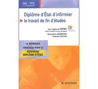 Diplôme d'état d'infirmier: Le travail de fin d'études (TFE)
