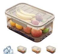 Dipo Fruit Container, Outdoor Ice Preservation Box, with Ice Pack & Handle Drain Divider, Reusable Portable Snack Fruit Container for Picnic, Kitchen, Camping (Brown)