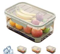 Dipo Fruit Container, Outdoor Ice Preservation Box, with Ice Pack & Handle Drain Divider, Reusable Portable Snack Fruit Container for Picnic, Kitchen, Camping (Green)