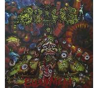 Dipygus - Bushmeat [Import]