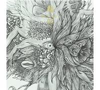 Dir En Grey - Rinkaku [Limited] [Import allemand]