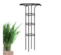 Dirfuny Obélisque en plastique et tube en acier - Résistant aux intempéries - Pour plantes grimpantes et roses