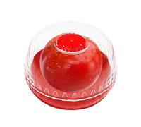 Dirfuny Récipient de conservation pour légumes et fruits pour réfrigérateur, citron, tomate, ail, avocat et oignon, récipient de stockage alimentaire avec couvercle, 1 pièce