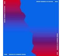 Dirk. Cracks in Common Sense (Vinyl)