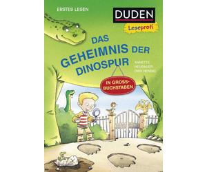 Dirk Hennig Ann Duden Leseprofi - GROSSBUCHSTABEN: DAS GEHEIMNIS DER DIN (Relié)