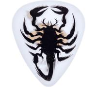 Dirty Donny II 36 Pack Scorpio Cobra White 1.00 MM