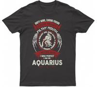 Dirty Mind Caring Friend Good Heart Filthy Mouth Smart Ass Kind Soul Sweet Sinner Humble I Never Said I Was Perfect I Am an Aquarius, Fashion T-Shirt(Large)