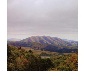 Dirty Projectors + Bjork - Mount Wittenberg Orca