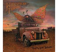Dirty Side Down by Widespread Panic (2010-05-25)