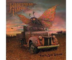 Dirty Side Down by Widespread Panic (2010-05-25)