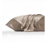 DISANGNI 100% Natural Mulberry Silk Pillow Case for Hair and Skin with Hidden Zipper 22 Momme Both Sides Real Silk Pillow Case (1pc Standard Size 20" x26", Taupe)