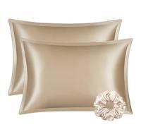 DISANGNI 100% Natural Mulberry Silk Pillowcase, Suitable for Hair and Skin, Envelope Style, Silk Front, Tencel Back (2pc Queen Size 20" x30", Gold)