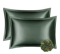 DISANGNI Lot de 2 taies d'oreiller 100% Soie de Mûrier Naturelle pour Cheveux et Peau, Soie d'un côté et Tencel de l'autre, Taie d'oreiller en Soie (Grande Taille (50x75 cm), Vert)