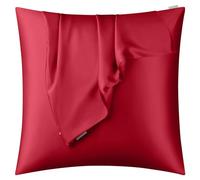 DISANGNI Taie d'oreiller 100 % soie naturelle de mûrier pour cheveux et peau avec fermeture éclair dissimulée 22 mommes des deux côtés Taie d'oreiller en vraie soie (1 pièce 65x65 cm, Rouge)
