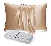 DISANGNI Taie d'oreiller en soie de mûrier 100 % naturelle pour cheveux et peau avec fermeture éclair dissimulée 22 mommes deux côtés taie d'oreiller en soie véritable (1 pièce 40x60cm, or)