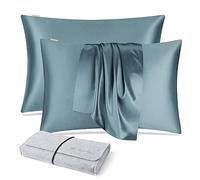 DISANGNI Taies d'oreiller 100% Soie de mûrier Naturelle pour Cheveux et Peau, 22 Mamans, taies d'oreiller réversibles en Soie (Bleu/Gris, 2pièces 50x75cm)