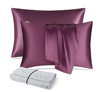 DISANGNI Taies d'oreiller 100% Soie de mûrier Naturelle pour Cheveux et Peau, 22 Mamans, taies d'oreiller réversibles en Soie (Violet, 2pièces 51x66cm)