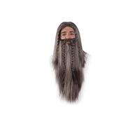 DISBACANAL Perruque et barbe de magicien gris
