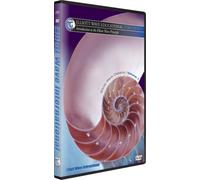 Disc 1. Introduction to the Elliott Wave Principle