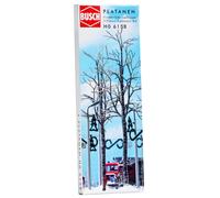 DISC 4 winter deciduous trees
