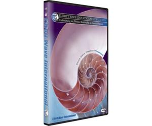 Disc 6. Understanding the Fibonacci Ratio in Financial Markets