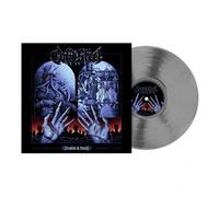 Discipline & Punish Vinyle Gris Vinyle