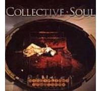 Disciplined Breakdown [Vinyl]