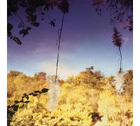 Disco Anti Napoleon - Ascent [VINYL] [Vinyl LP]