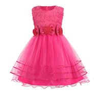 Discoball Robe de Princesse à Fleurs Roses avec nœud Papillon en Tulle pour Mariage, Demoiselle d'honneur et baptême élégante pour Filles