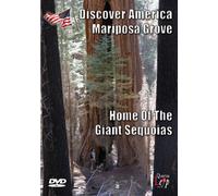 Discover America - Discover America - Mariposa Grove [Import anglais]