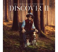 Discover II Vinyle